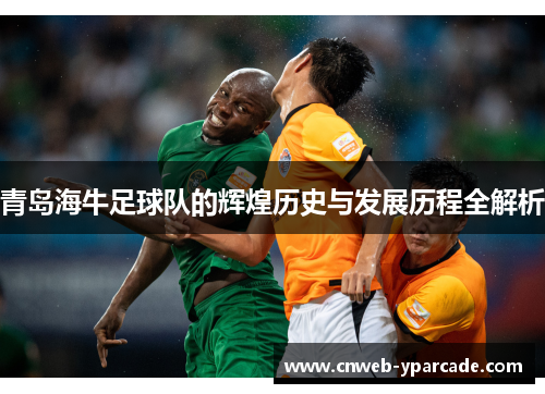 青岛海牛足球队的辉煌历史与发展历程全解析